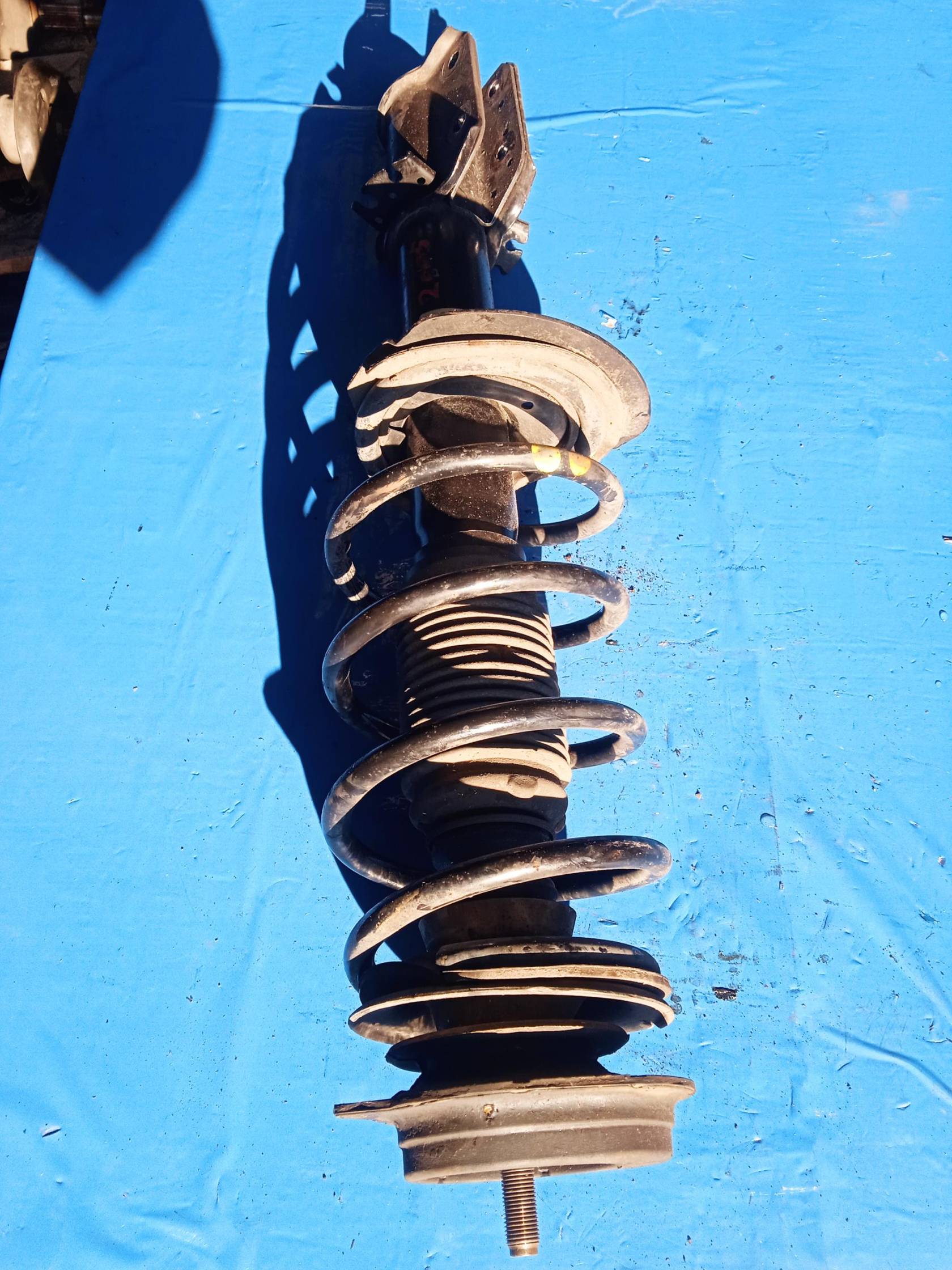 Ammortizzatore ant. sx.